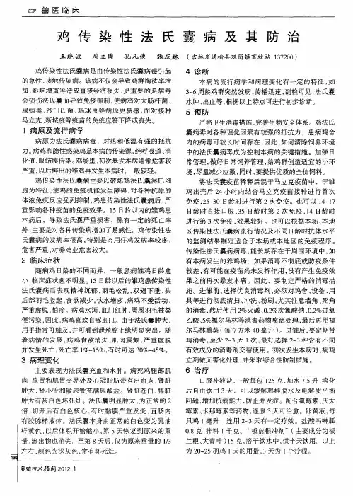 鸡传染性法氏囊病及其防治