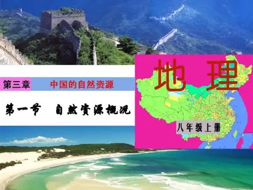 新湘教版地理八年级上册《自然资源概况》最新精品PPT
