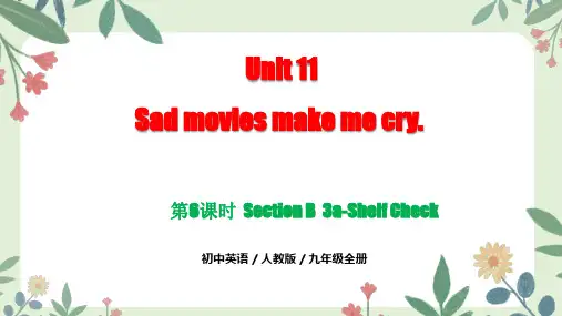 Unit11第6课时SectionB3a-ShelfCheck(同步课件)-九年级英语全册(人教版)