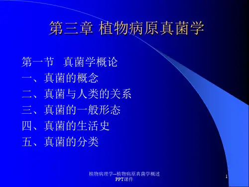 植物病理学植物病原真菌学概述 ppt课件
