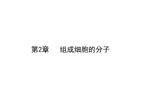 人教版教学课件2011届生物高考一轮复习课件：必修1 第2章 第3节 遗传信息的携带者—核酸ppt