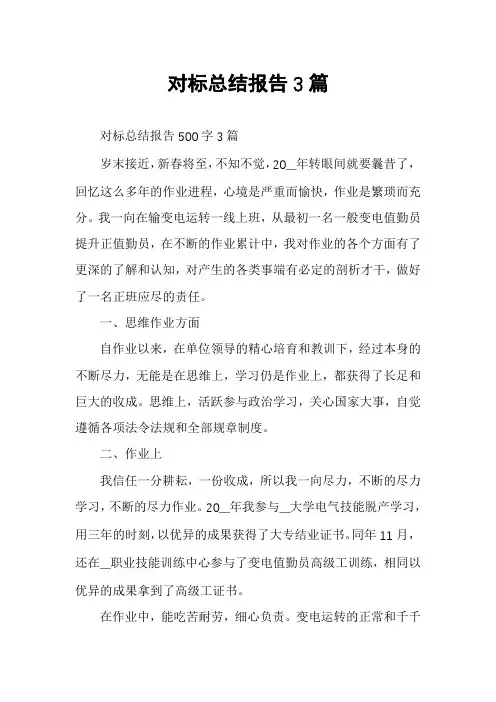 对标总结报告3篇