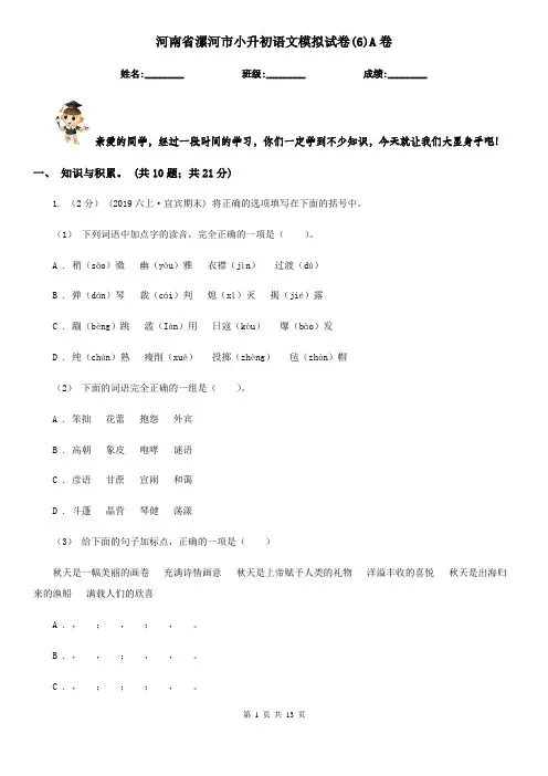河南省漯河市小升初语文模拟试卷(6)A卷