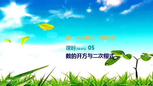 中考数学总复习 第一单元 数与式 课时05 数的开方与二次根式数学课件