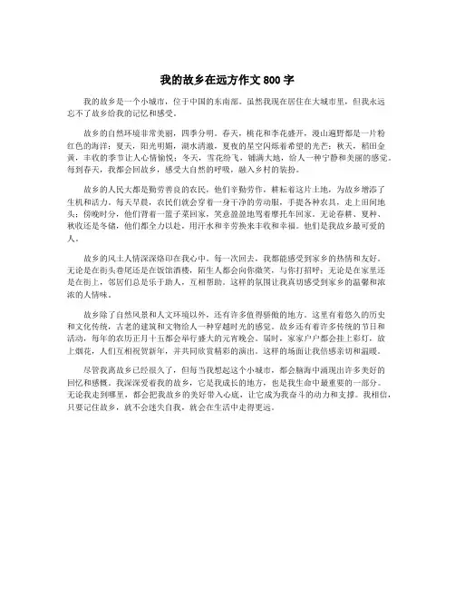 我的故乡在远方作文800字