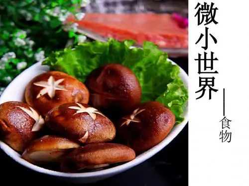 微生物——食品ppt