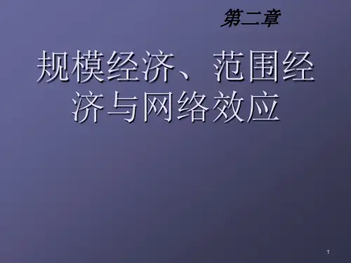 规模经济ppt课件