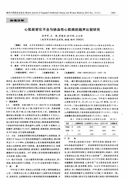 心肌致密化不全与缺血性心肌病的超声比较研究