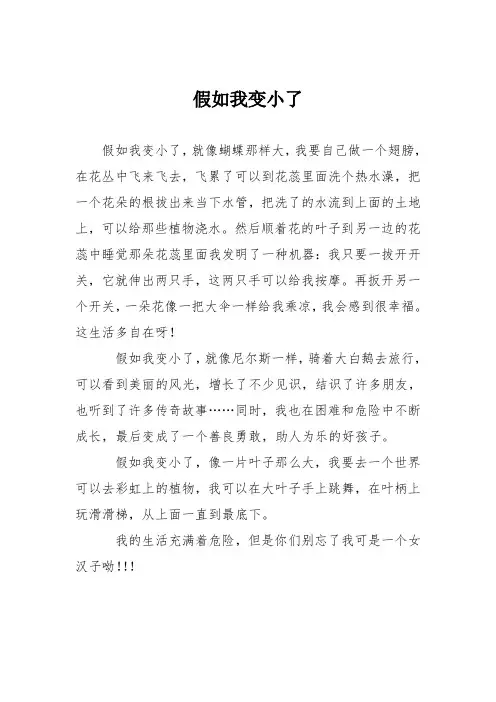 假如我变小了