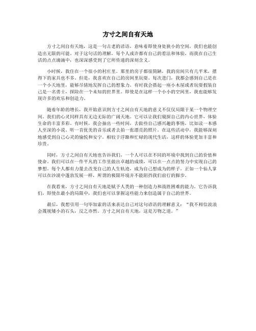 方寸之间自有天地