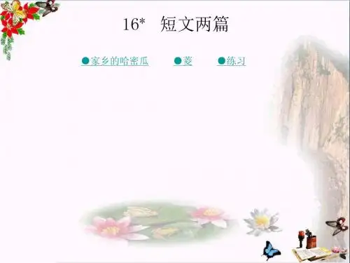 三年级语文上册第四单元家乡的哈密瓜菱精选教学PPT课件1湘教版