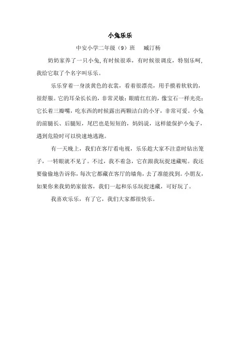 小兔乐乐