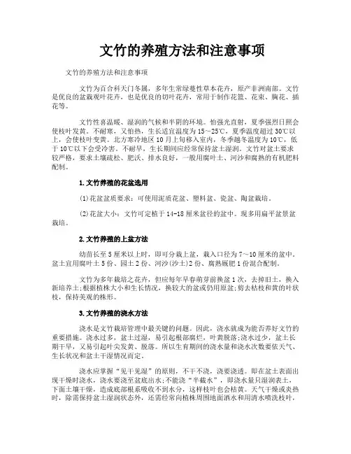 文竹的养殖方法和注意事项