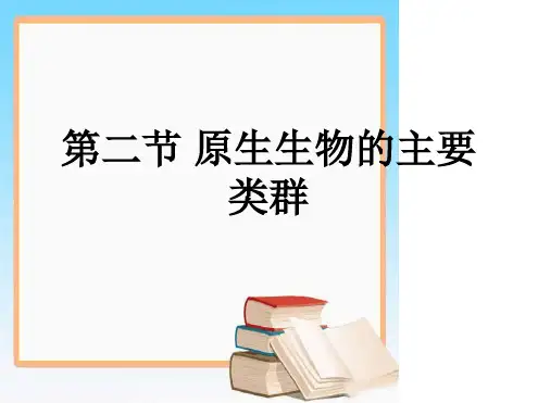 八年级下册生物课件 7222原生生物的主要类群课件3北师大版