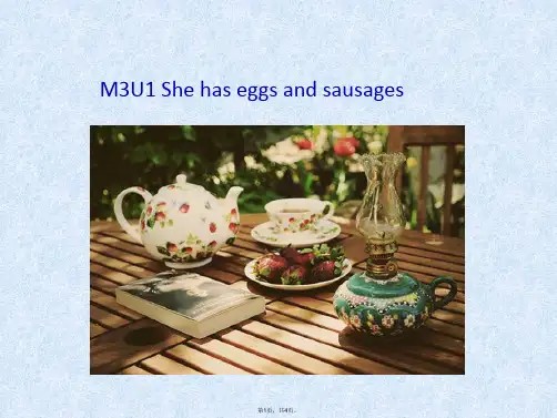 M3U1She-has--eggs-and-sausages(共4张)