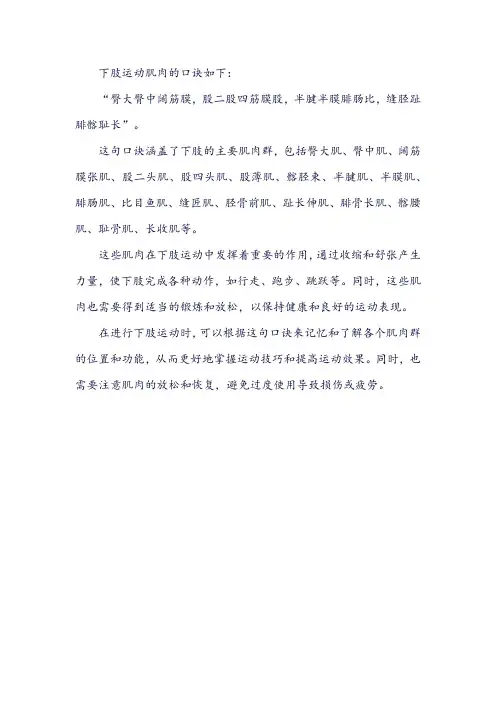 下肢运动肌肉口诀