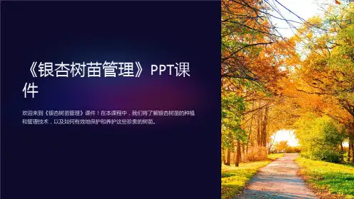 《银杏树苗管理》课件