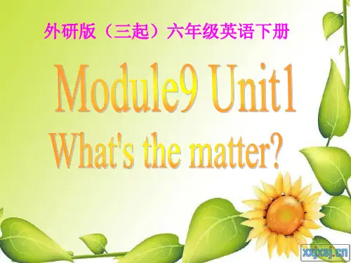 外研社小学英语第八册Module9Unit1 What's the matter