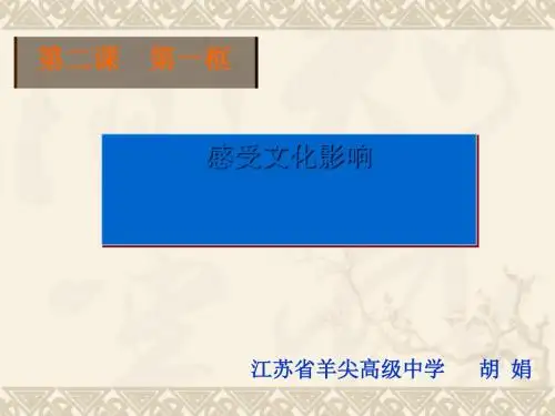 感受文化影响PPT课件4 人教课标版