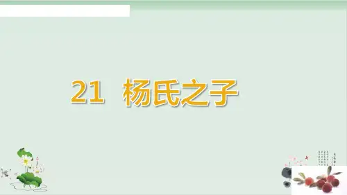 五年级下册语文课件PPT：杨氏之子 人教部编版2