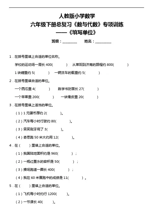 人教版小学数学六年级下册总复习《数与代数》专项训练 《填写单位》(含答案)