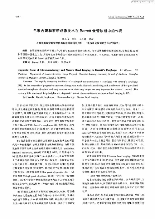 色素内镜和窄带成像技术在Barrett食管诊断中的作用
