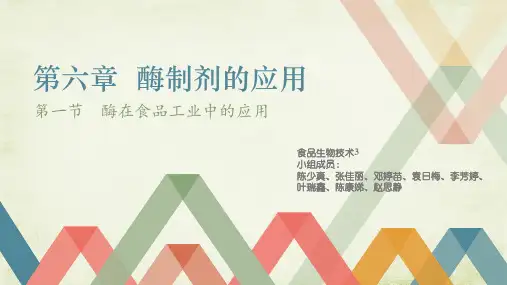 第六章 酶制剂的应用
