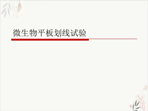 微生物平板划线试验课件-PPT