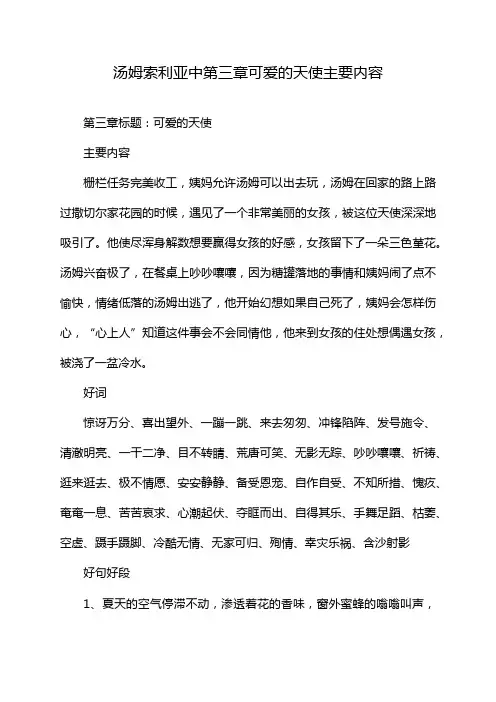 汤姆索利亚中第三章可爱的天使主要内容
