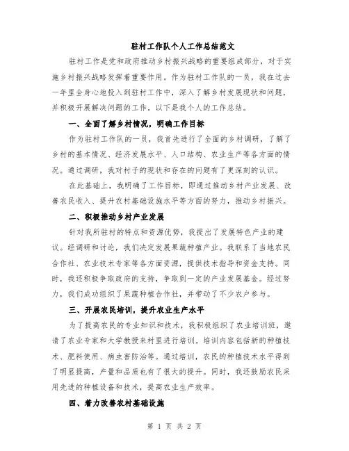 驻村工作队个人工作总结范文