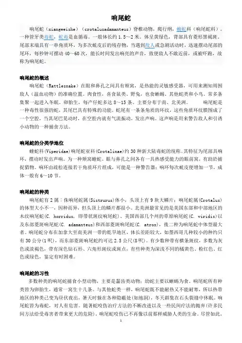响尾蛇