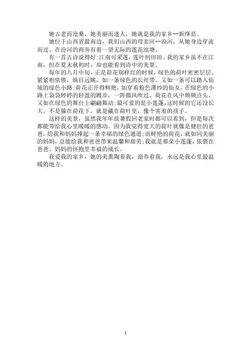 最新映日荷花别样红作文