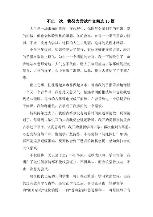 不止一次,我努力尝试作文精选15篇