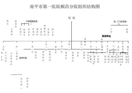 医院组织结构图