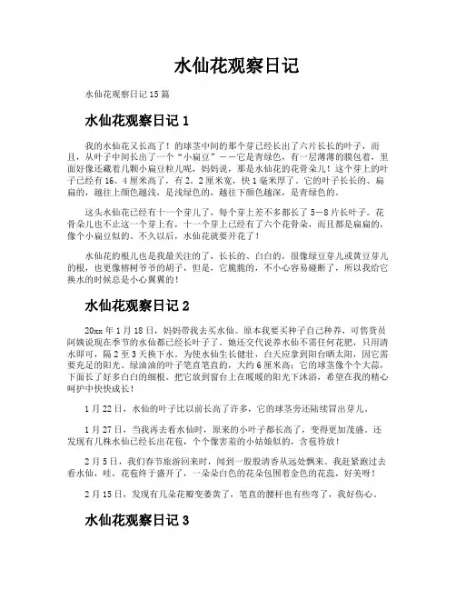 水仙花观察日记