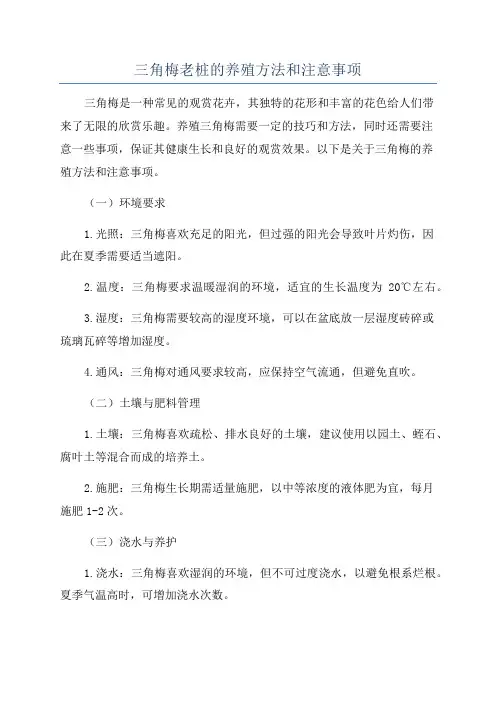三角梅老桩的养殖方法和注意事项