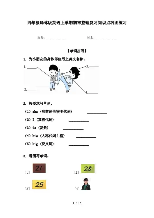 四年级译林版英语上学期期末整理复习知识点巩固练习