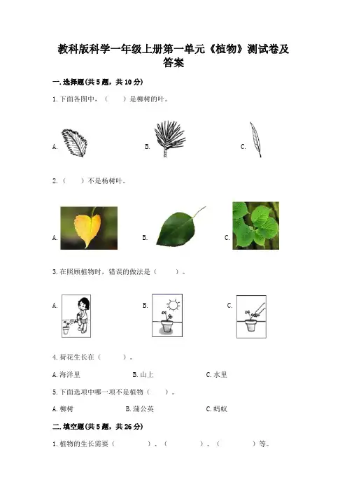教科版科学一年级上册第一单元《植物》测试卷及答案含答案【典型题】