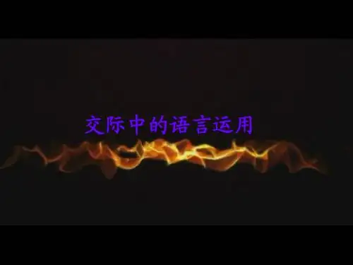 交际中的语言运用