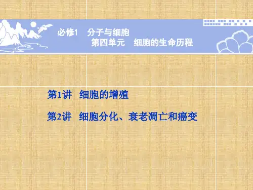 高一生物细胞的生命历程课件