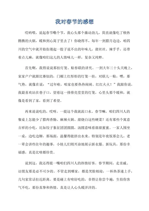 我对春节的感想