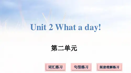 译林版(三起)六年级上册英语Unit 2 What a day! (共21张PPT)