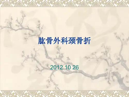 肱骨外科颈骨折护理查房精品PPT课件