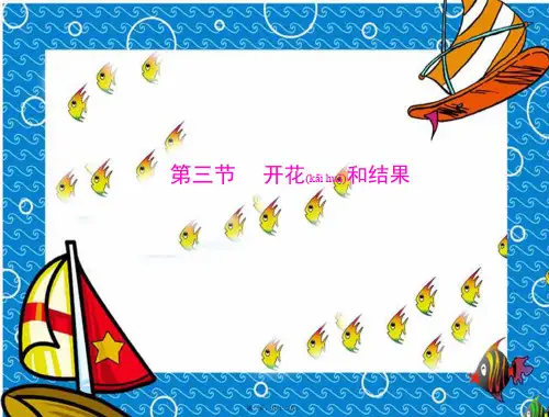 七年级生物上册 第三单元 第二章 第三节 开花和结果配套课件