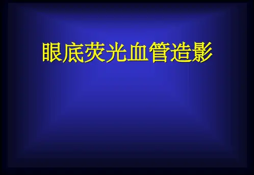眼底荧光血管造影相关知识ppt课件