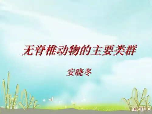 无脊椎动物的主要类群