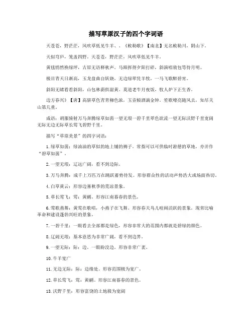 描写草原汉子的四个字词语