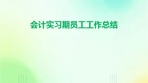 会计实习期员工工作总结PPT