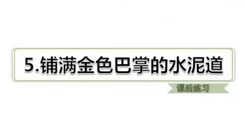 典中点习题(课后练习)