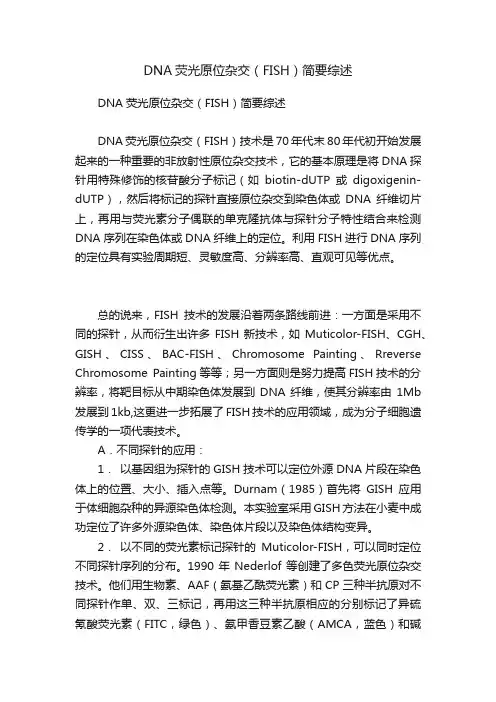 DNA荧光原位杂交（FISH）简要综述